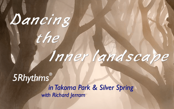 Inner Landscape Final Screen Shot 2017-07-11 at 3.35.00 PM